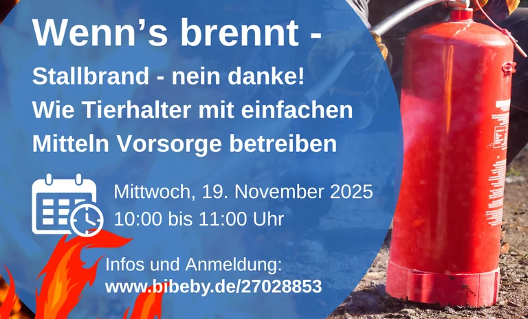 Brandschutz-Stallbrand.png