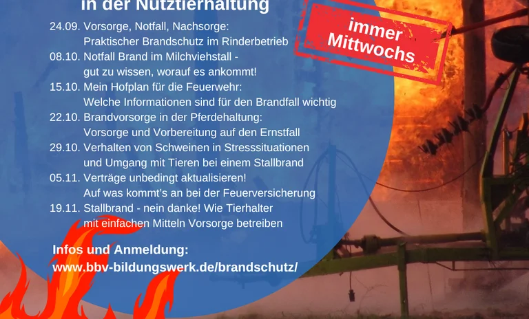 Brandschutz-Reihe.png
