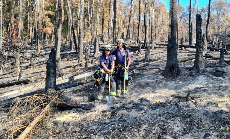 Waldbrand Sachsen.jpg