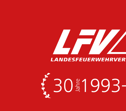30 Jahre - Banner-1 (2).png