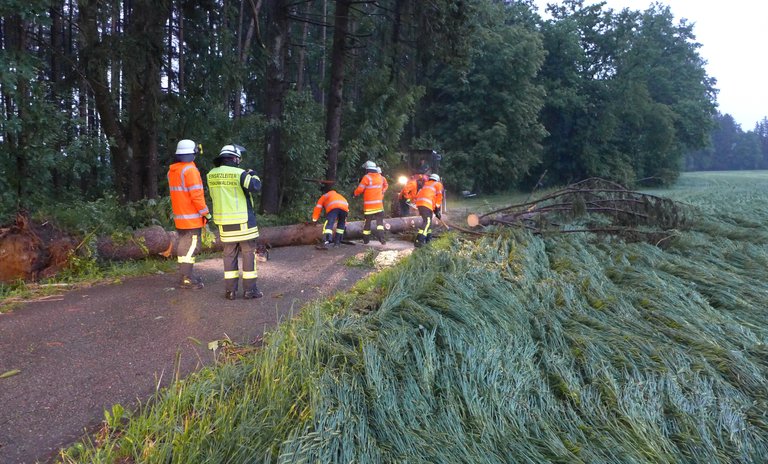 Traunwalchen Baum auf Fahrbahn.JPG