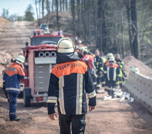 forest-fire-4149462.jpg