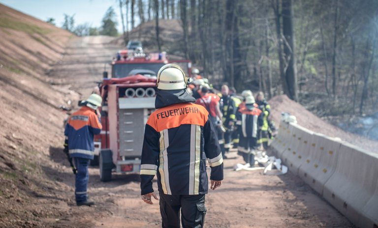 forest-fire-4149462.jpg