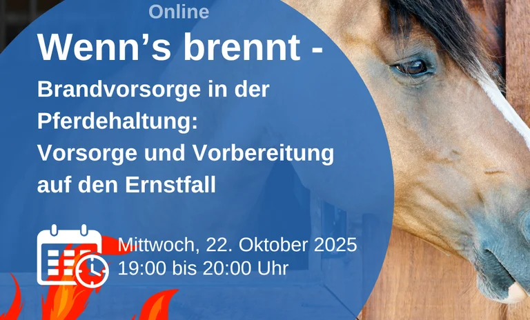 Brandschutz-Pferde.png