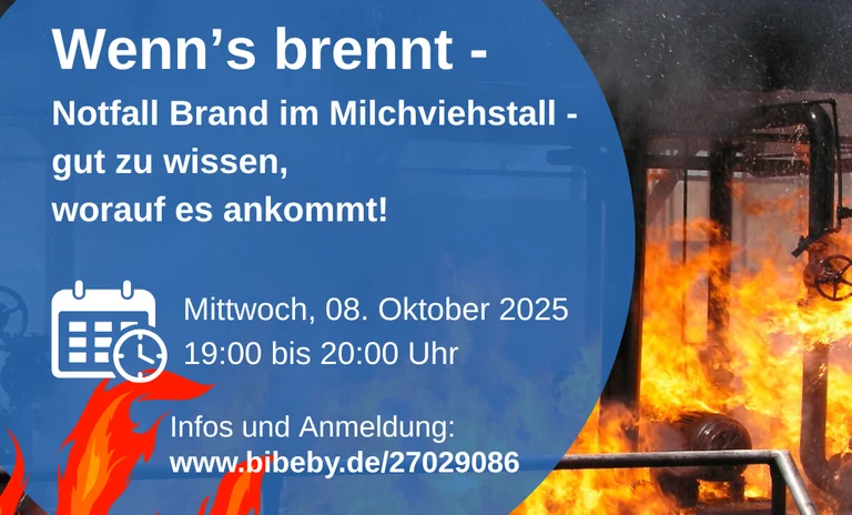 Brandschutz-Milchvieh.png